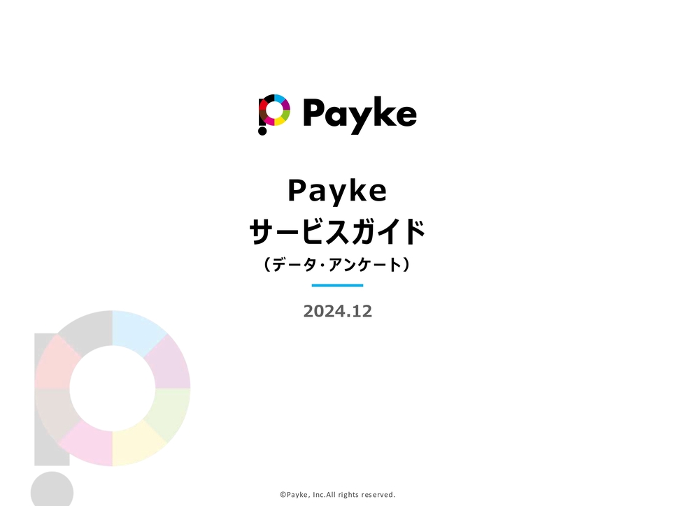 Payke データ活用・マーケティング（ペイク）